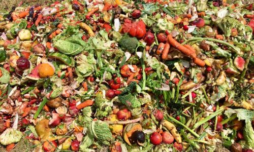 Biodéchets, épluchures de carottes, tomates, courgettes...