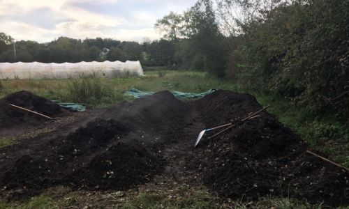 Maturation d'un compost prêt à être utilisé