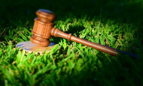 Herbe verte marteau de droit magistrat