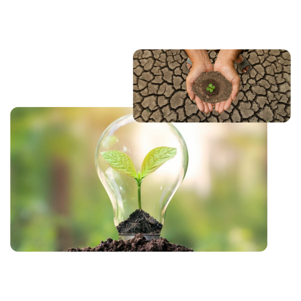 Sol eco-responsable et début d'une plante grâce au compost